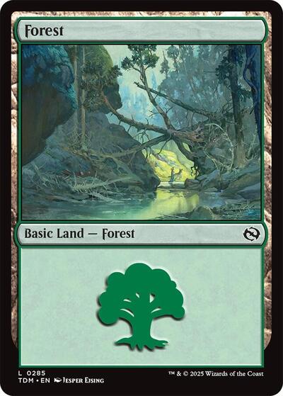Forest 0285