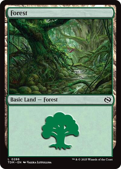 Forest 0286