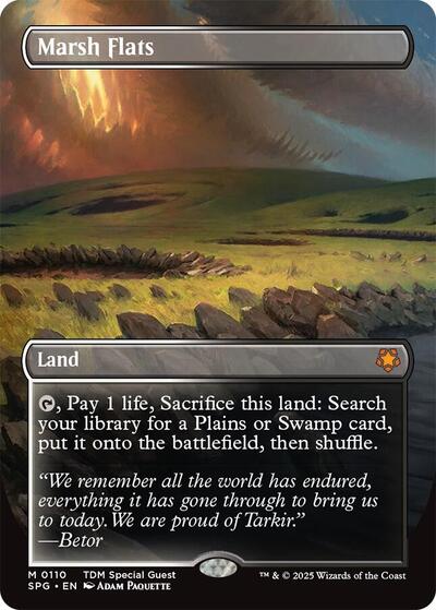 Marsh Flats Borderless