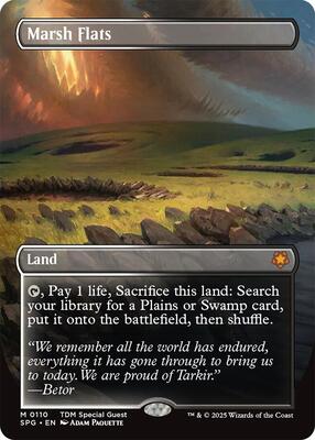 Marsh Flats