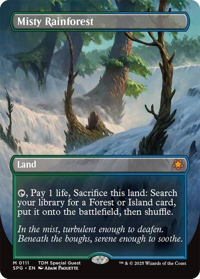 Misty Rainforest Borderless