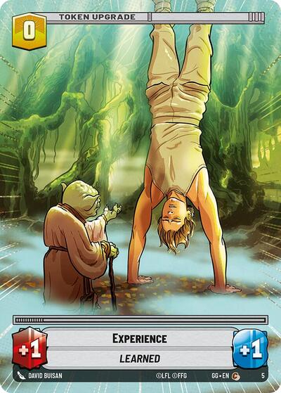 Experience card