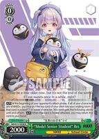 Model Senior Student