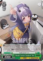 ゲームセンター・ゲームカード Rei Model Senior Student