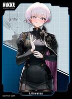 nikke card sleeves Bushiroad Card Sleeves (75)