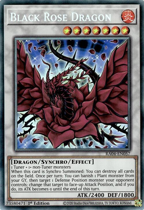 Black Rose Dragon