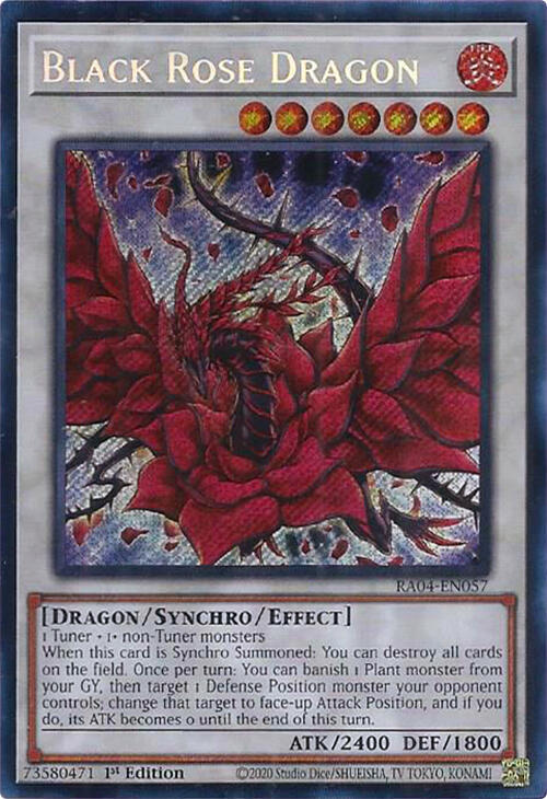 Black Rose Dragon