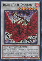 Black Rose Dragon - Quarter Century Stampede - YuGiOh - TCGplayer.com