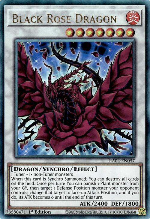 Black Rose Dragon