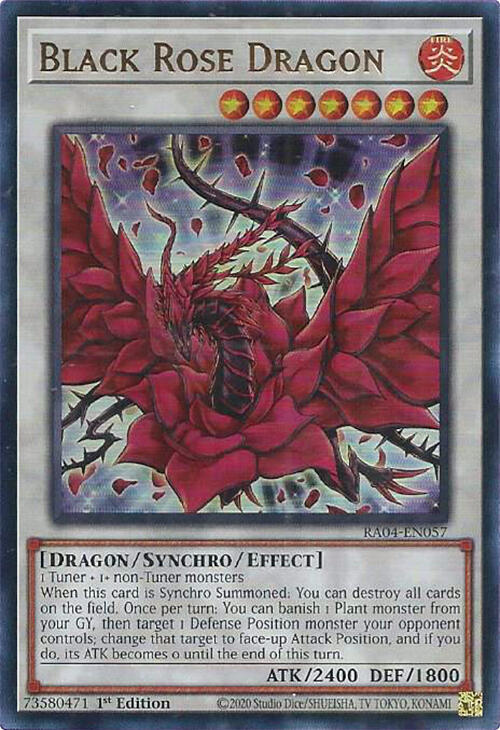 Black Rose Dragon