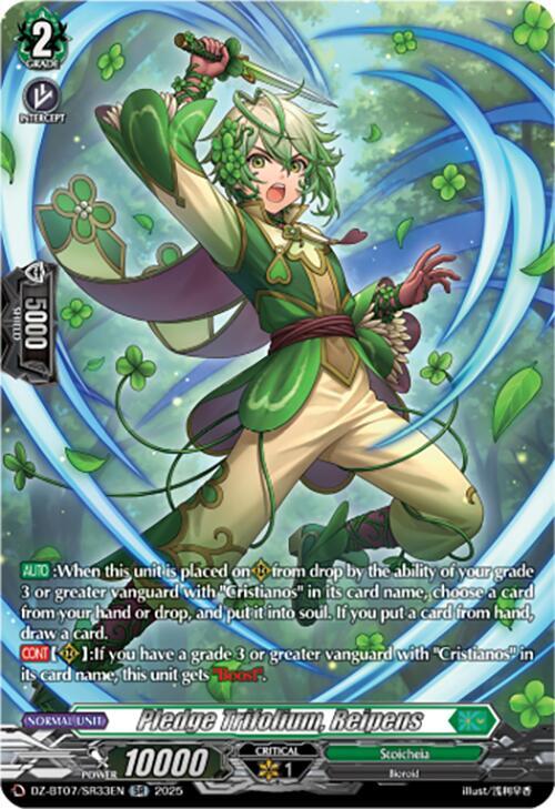 Pledge Trifolium, Reipens (SR)