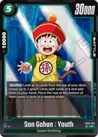 Son Gohan : Youth - Rivals Clash - Dragon Ball Super: Fusion World