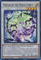Curse Of Diabell – El Rincón Del Duelista