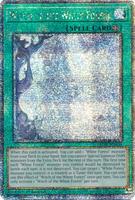 白き森の魔女ルシエラ　25th クオシク　米版　1st Witch of the White Forest (Quarter Century Secret Rare