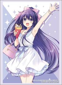 Bushiroad Sleeve Collection HG Vol.4659: Fujimi Fantasia Bunko Date A Live - Toh · Bushiroad Card Sleeves