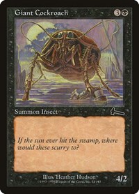 Giant Cockroach