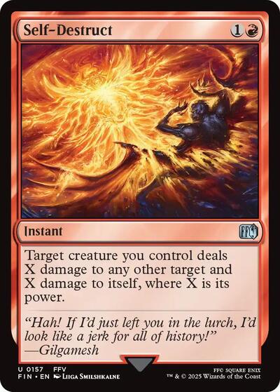 Self Destruct