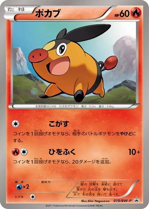 Tepig - 019/bw-p