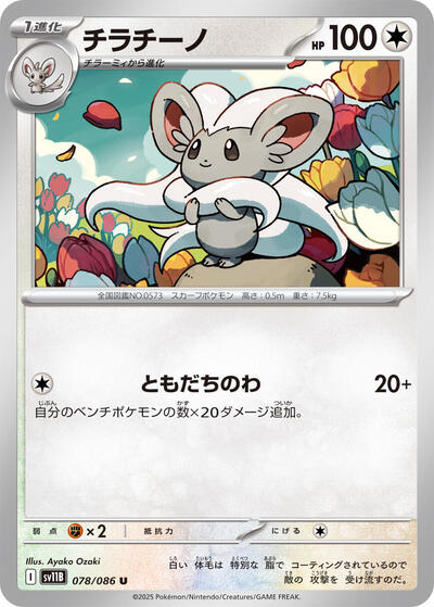 Cinccino