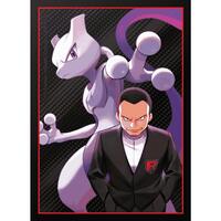 Pokemon TCG: Destined Rivals Elite Trainer Box Card Sleeves - Eevee (65  Pack)