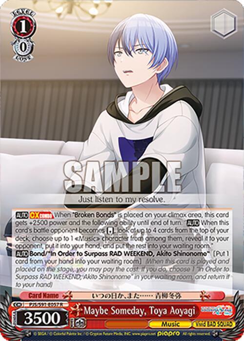 TOYA様　オーダー専用ページ $_57.JPG?set_id=880000500F