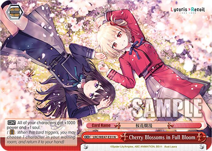Cherry Blossoms in Full Bloom