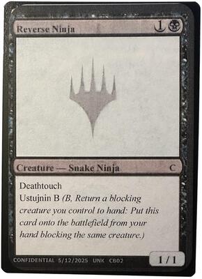 Reverse Ninja