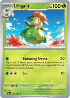 Lilligant - SV: Black Bolt - Pokemon - TCGplayer.com