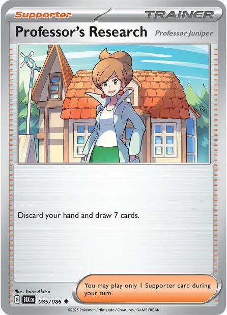 Professor's Research