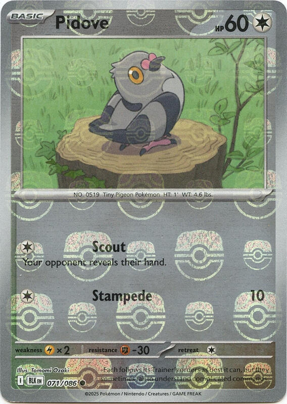 Pidove (Master Ball Pattern) 071/086 from SV: Black Bolt