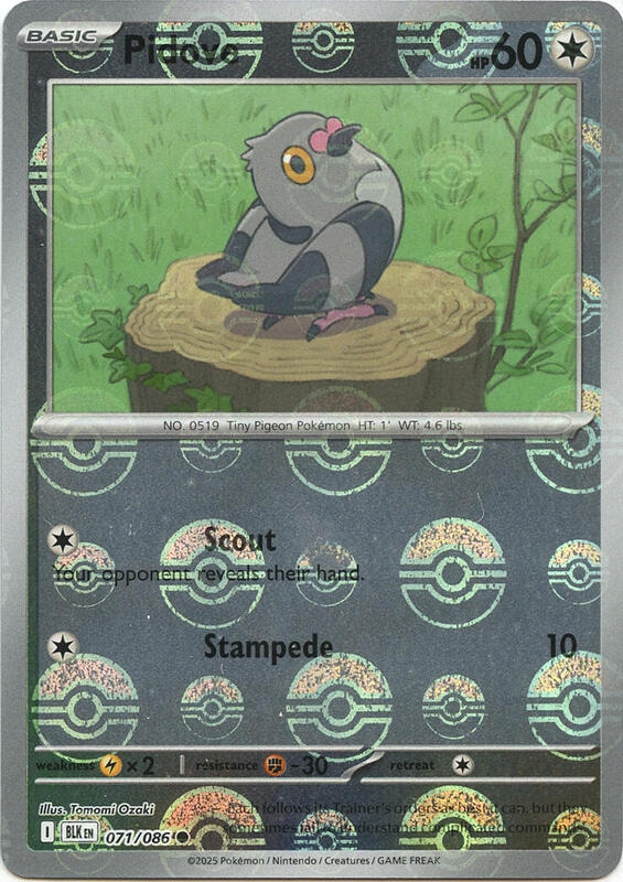 Pidove (Poke Ball Pattern) 071/086 from SV: Black Bolt
