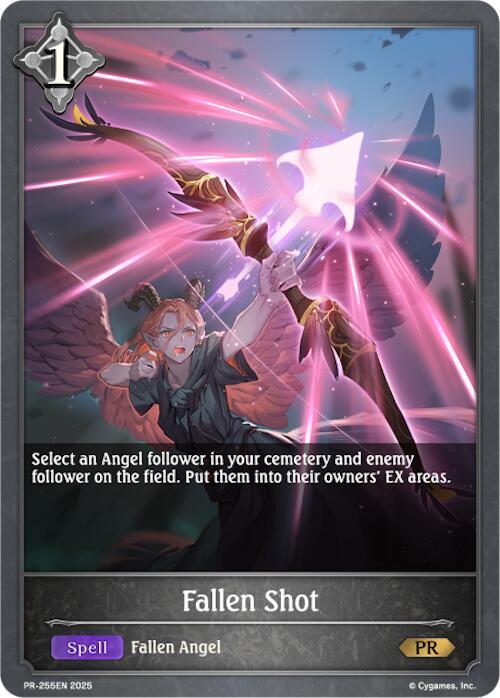 Fallen Shot