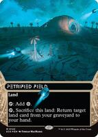 MTG【石化した原野/Petrified Field】foil ODY s-l400.jpg