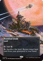 MTG【石化した原野/Petrified Field】foil ODY ミントモール / MINT GAMES MTG(東日本橋) / 【EOS】【ENG