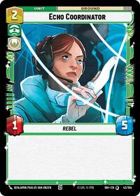 Echo Coordinator (43/104)