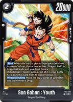 Son Gohan : Youth - Wish For Shenron - Dragon Ball Super: Fusion