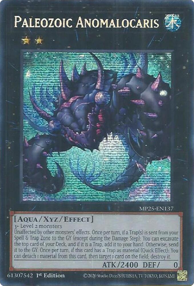 Paleozoic Anomalocaris