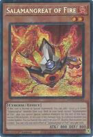 silver card yugioh CR07-AE073 Indigo-Eyes Silver Dragon (SR) main image 1