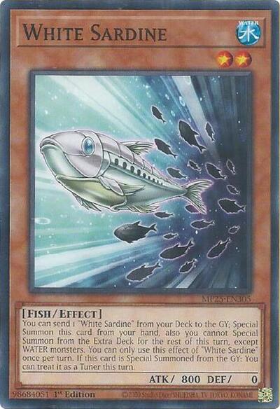White Sardine