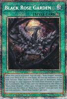 Black Rose Garden (Starlight Rare) - Doom of Dimensions - YuGiOh