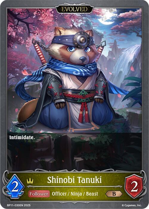 Shinobi Tanuki (Evolved)