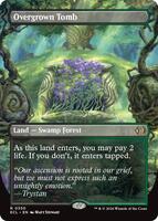 Overgrown Tomb (Borderless) - Lorwyn Eclipsed - Magic: The