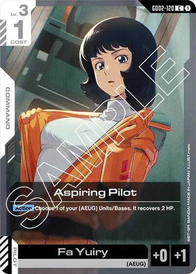 Aspiring Pilot card