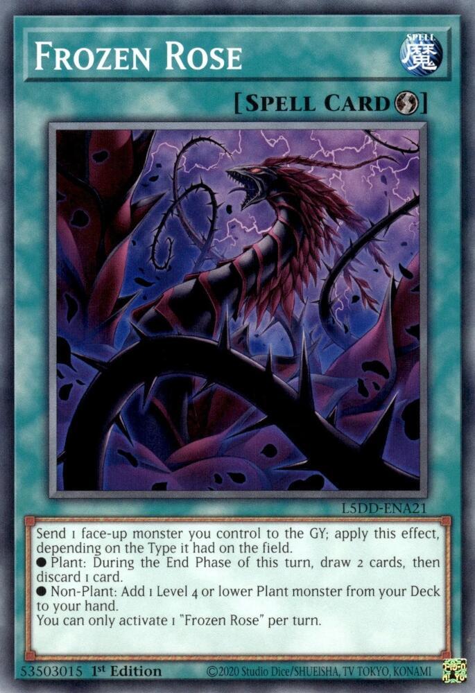 Frozen Rose