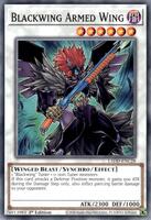 yugioh blackwing deck Complete Custom for Yu-Gi-Oh! 5D's Blackwing Deck : r/YuGiOhMasterDuel