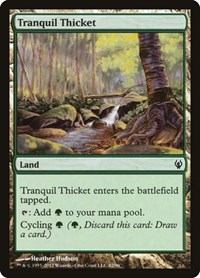 Tranquil Thicket - Duel Decks: Izzet vs. Golgari - Magic: The Gathering card