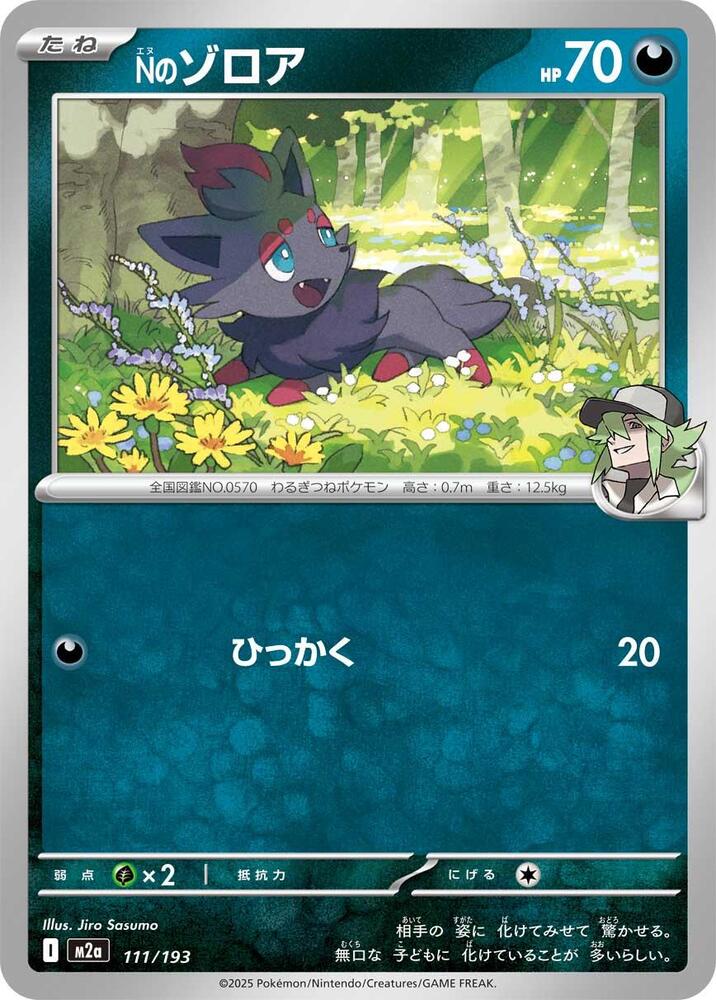 N SR XY 英語 N's Zorua - M2a: High Class Pack: MEGA Dream ex - Pokemon Japan