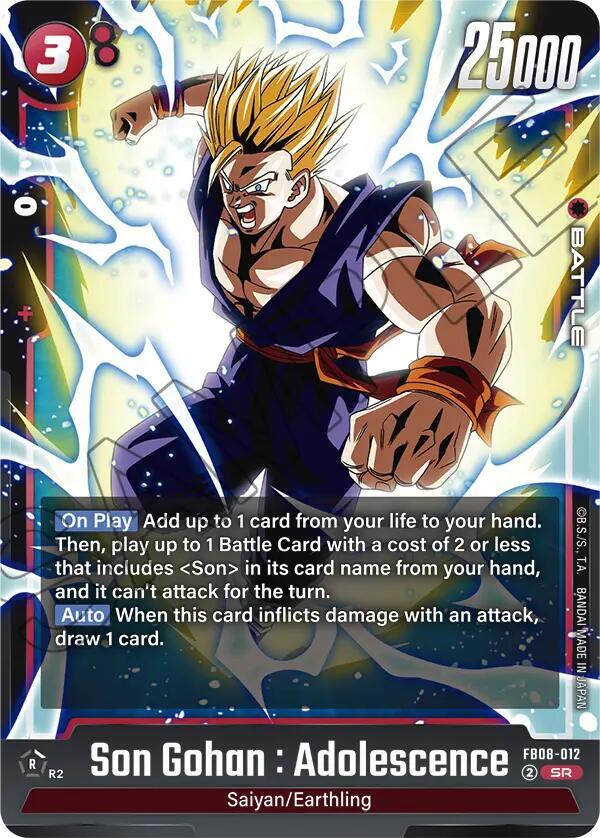 ドラゴンボールカード 1989 DRAGON BALL SON GOHAN CARDASS Dragon Ball Carddass Early Edition 85 Son Gohan Vintage Shiny
