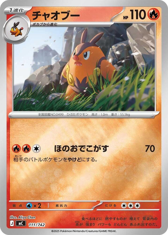 Pignite - 111/742 (mirror Holo)