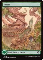 Forest (0278) - Lorwyn Eclipsed - Magic: The Gathering - TCGplayer.com